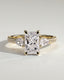 2.0 CT Radiant Cut Moissanite Three Stone & Pave Engagement Ring