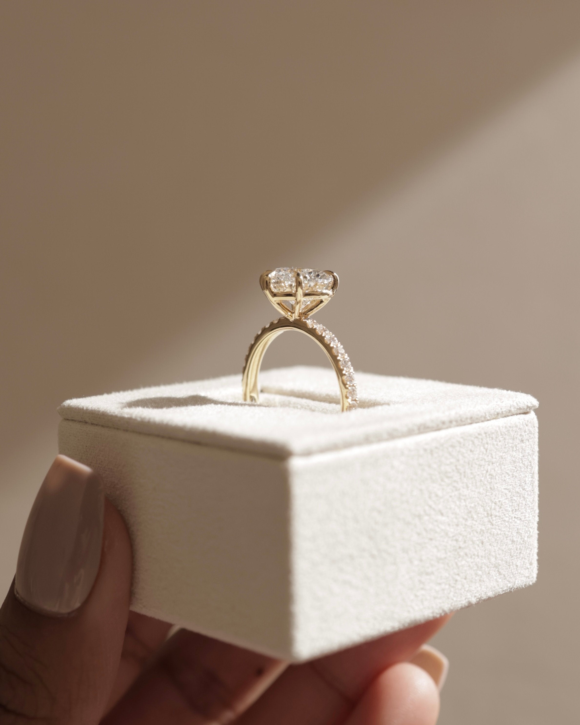 2.0 CT Heart Cut Moissanite Pave Engagement Ring