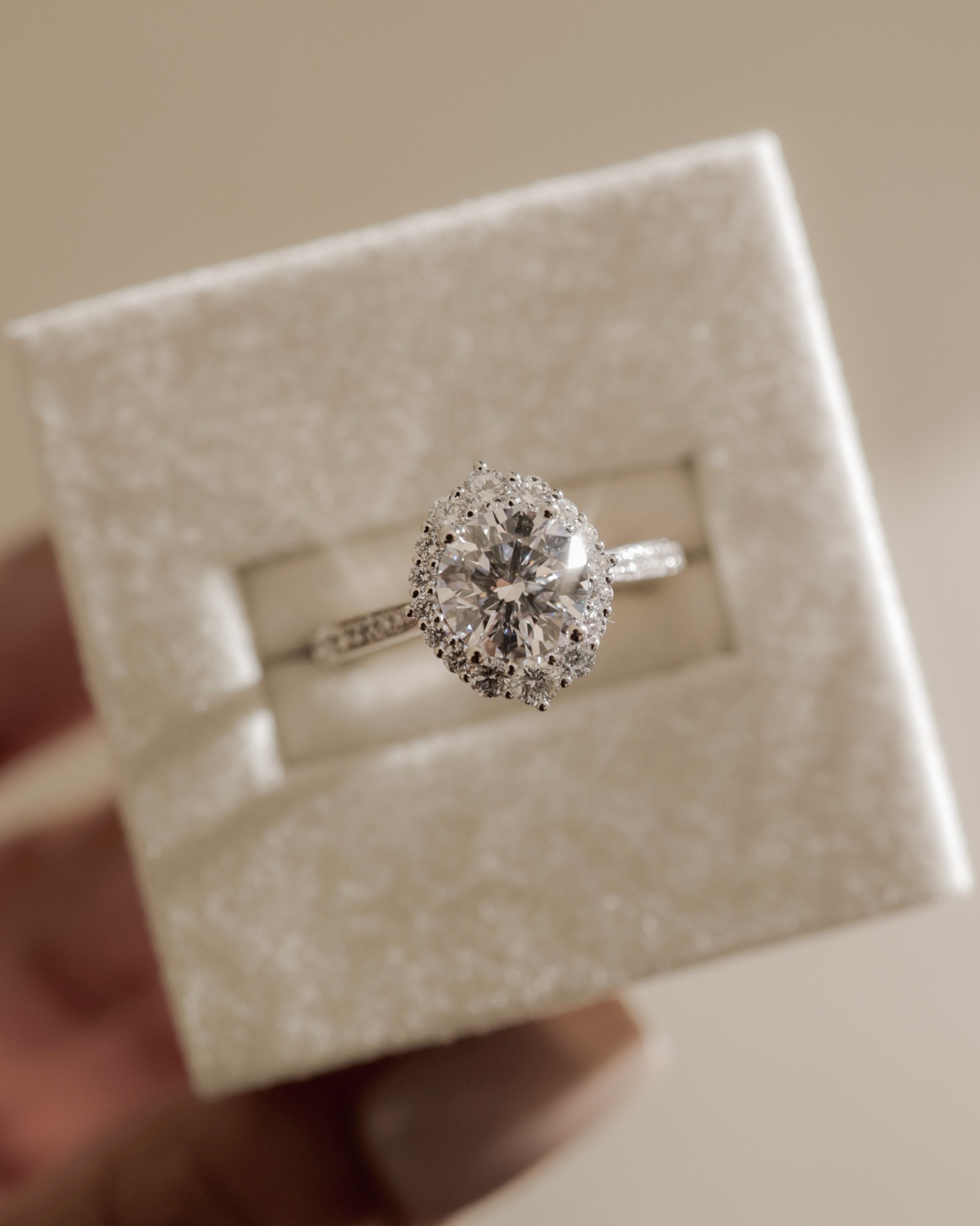 2.0 CT Round Cut Moissanite Cluster Halo with Pavé Engagement Ring