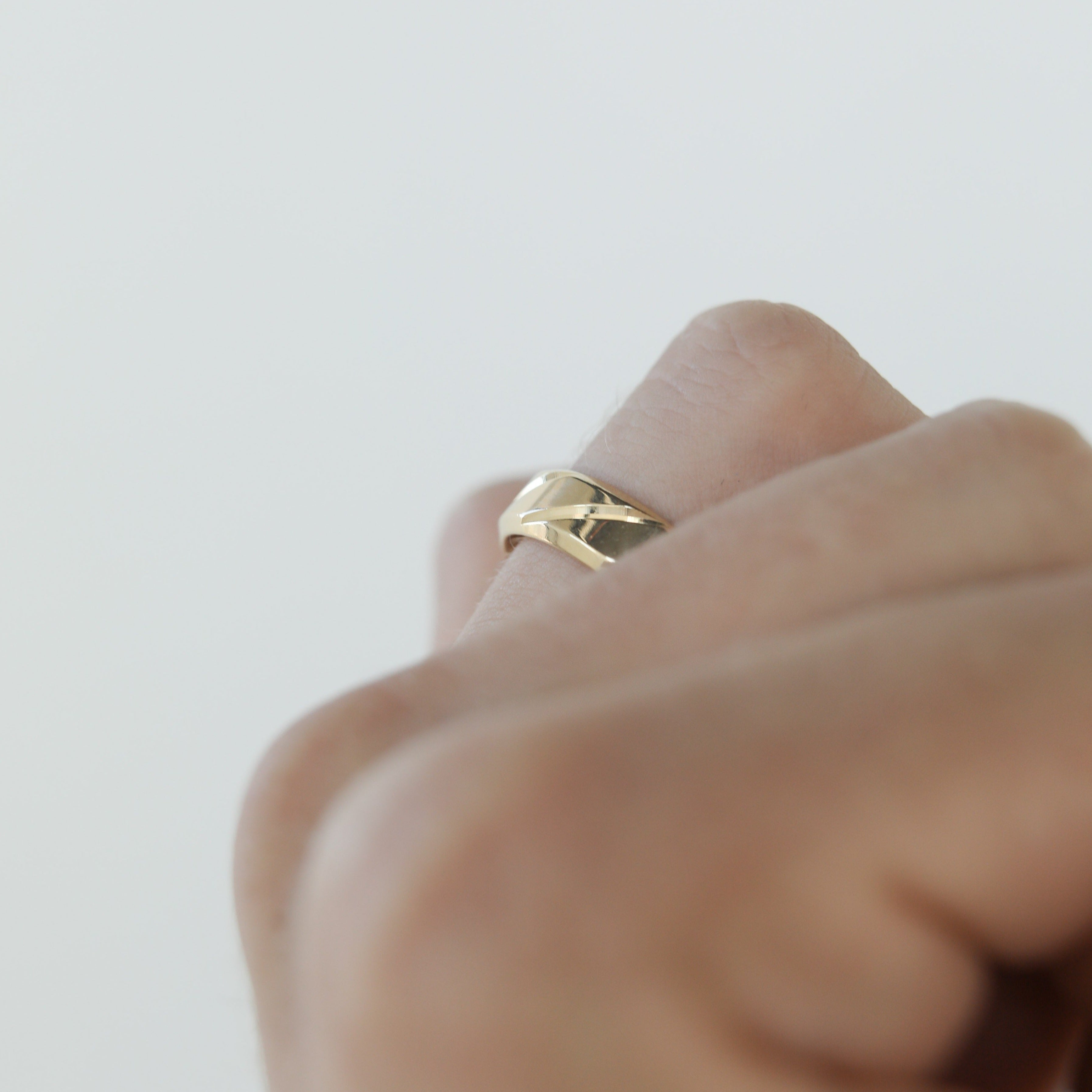 High-Polish Finish Regular Men's Band - crownmoissanite