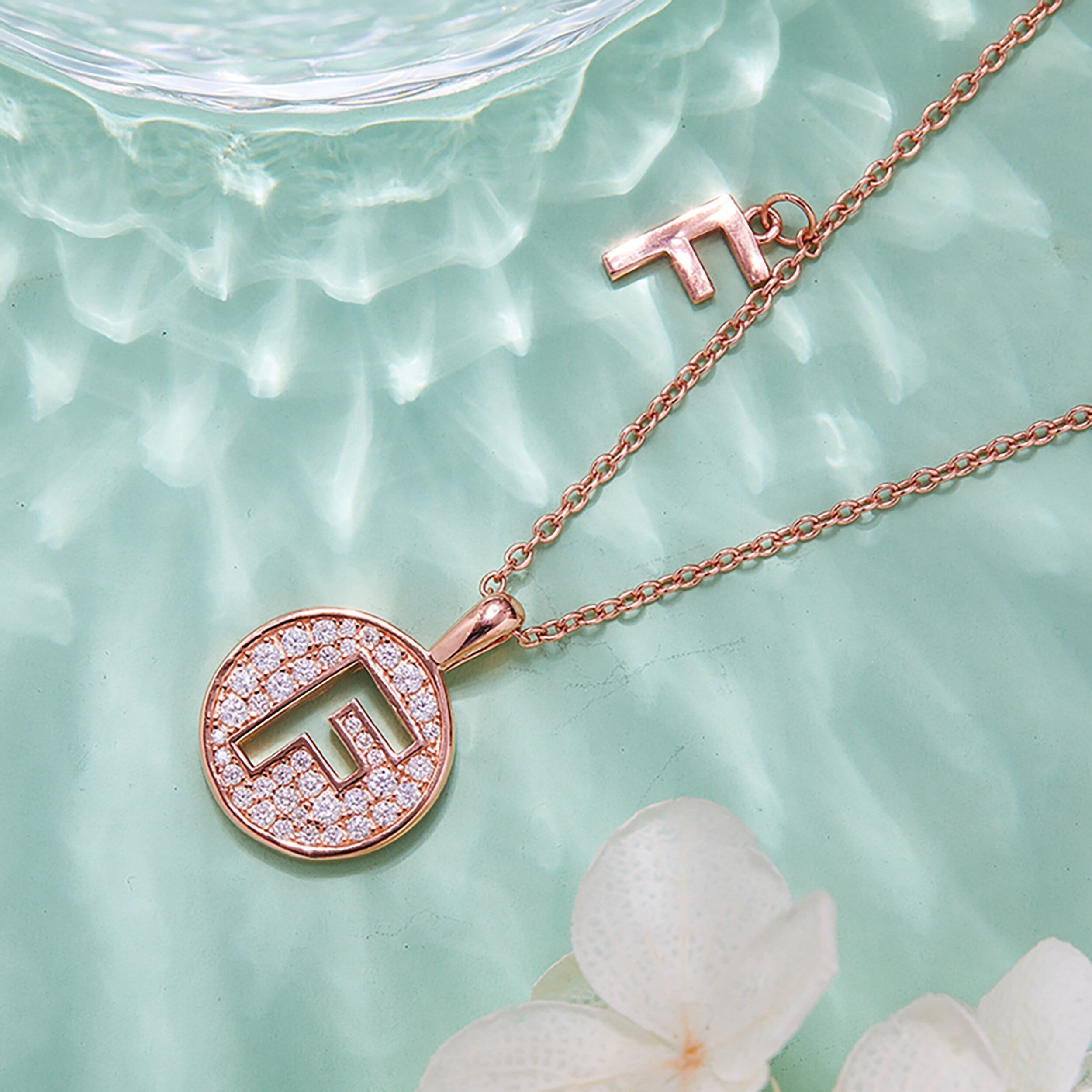 Customized "F" Letter Moissanite Diamond Necklace - crownmoissanite