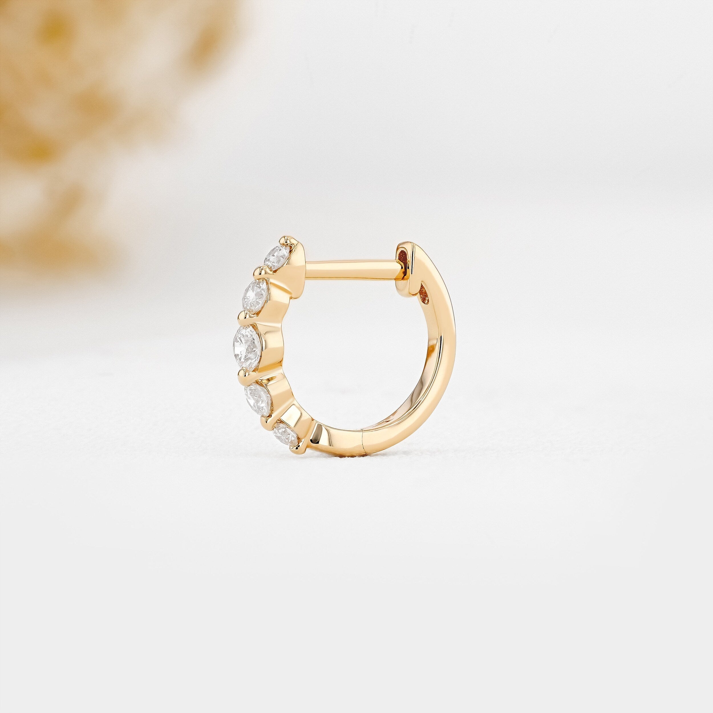 0.25 TCW-0.34 TCW Round Moissanite Diamond Hoop Earrings - crownmoissanite