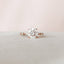 2.5 CT Round Solitaire Dainty Pave Moissanite Engagement Ring - crownmoissanite