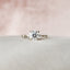2.0 CT Round Dainty Pave Moissanite Engagement Ring - crownmoissanite