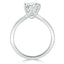 0.75 CT Round Cut Solitaire Moissanite Engagement Ring With Channel Setting - crownmoissanite