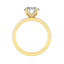 1.5 CT Round Cut Pave Moissanite Engagement Ring - crownmoissanite