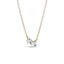 0.35 TCW Round Moissanite Diamond Two Stones Pendent Necklace - crownmoissanite
