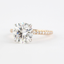 1.5 CT Round Shaped Moissanite Hidden Halo Engagement Ring - crownmoissanite