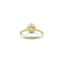 1.0 CT Round Hidden Halo Style Moissanite Engagement Ring