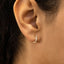 0.25 TCW-0.34 TCW Round Moissanite Diamond Hoop Earrings - crownmoissanite