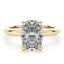 2.0 - 4.0 CT Elongated Cushion Moissanite Hidden Halo Engagement Ring